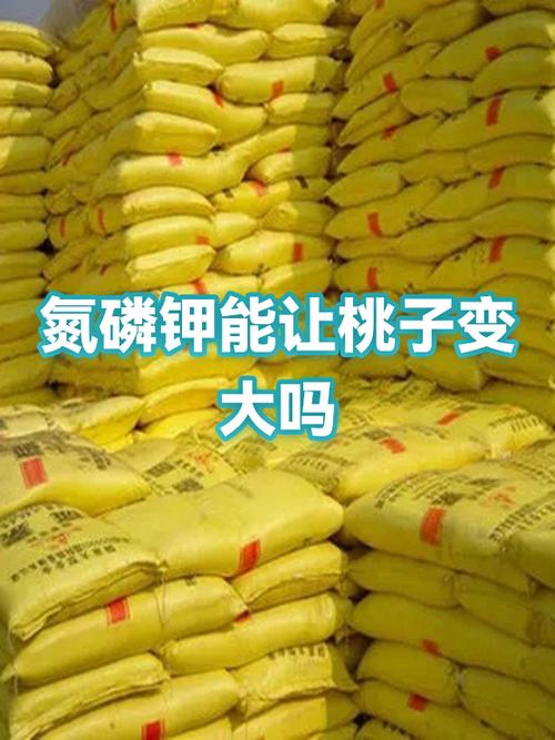 氮磷协作 植物生长的双重动力